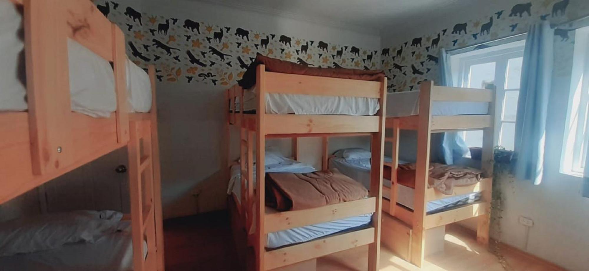 Quinoa Backpackers Hostel Λίμα Εξωτερικό φωτογραφία