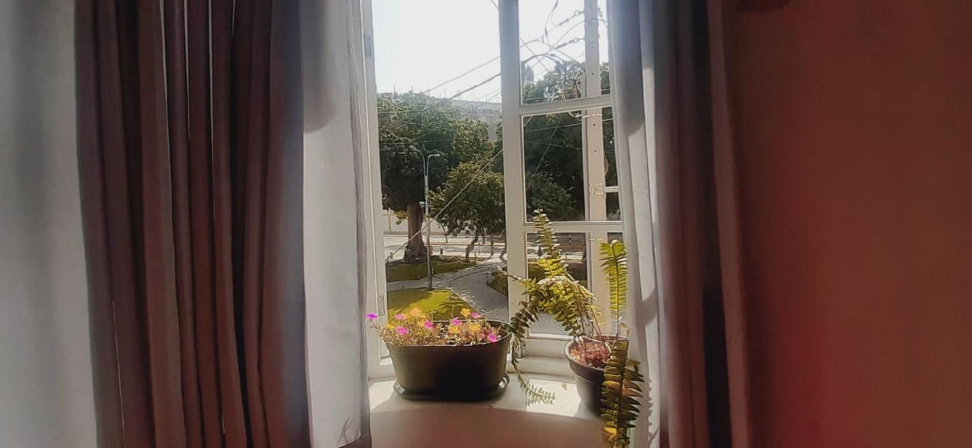 Quinoa Backpackers Hostel Λίμα Εξωτερικό φωτογραφία