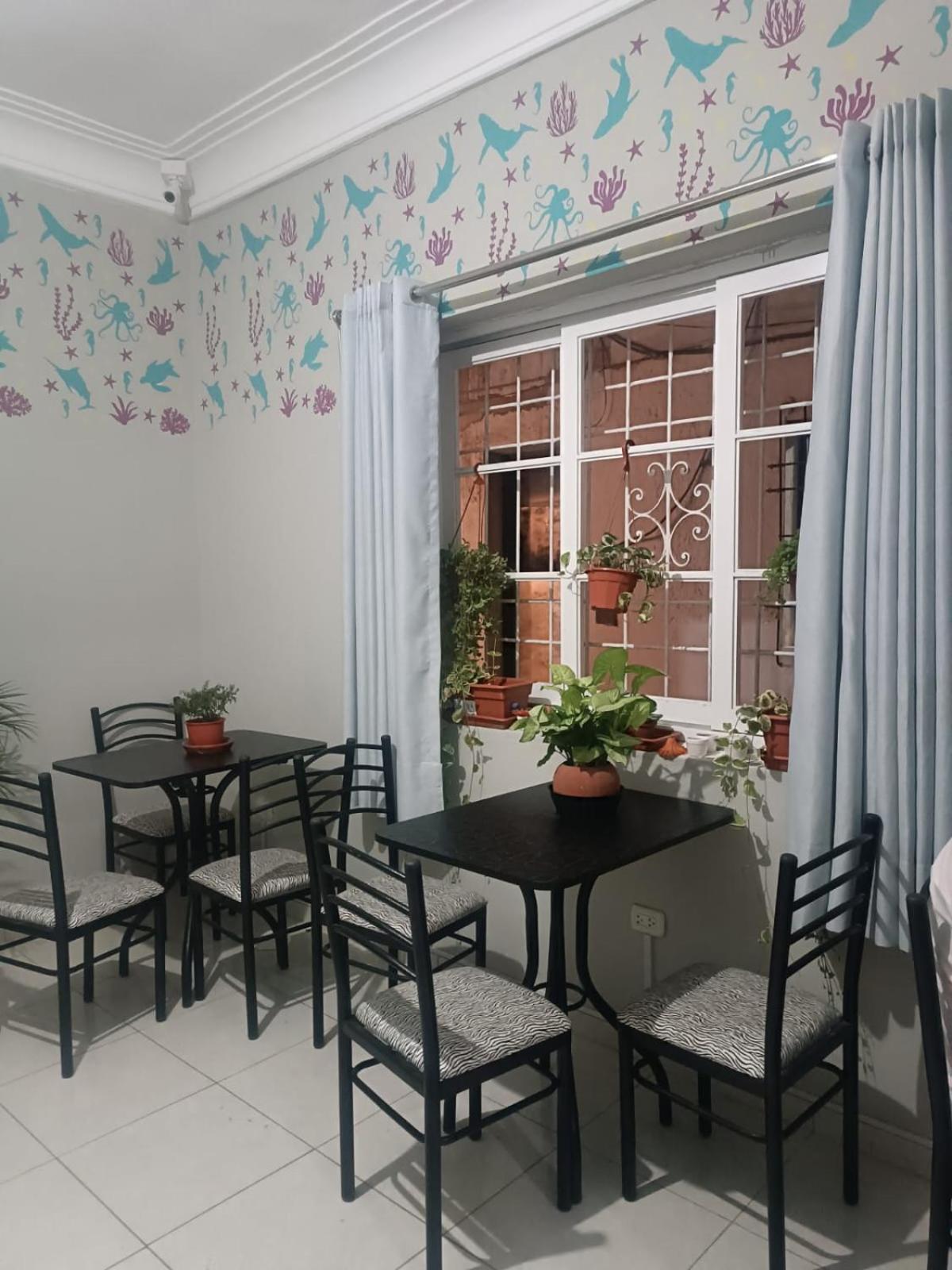Quinoa Backpackers Hostel Λίμα Εξωτερικό φωτογραφία