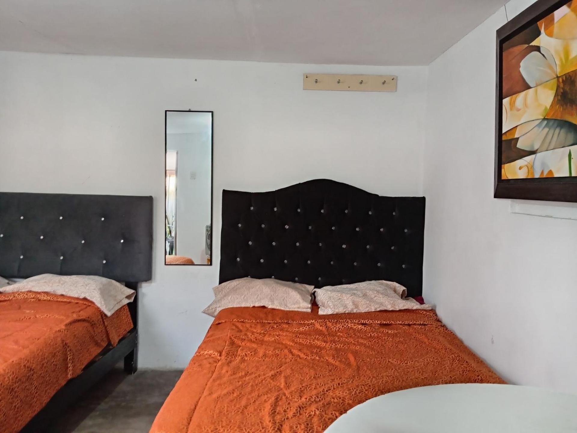 Quinoa Backpackers Hostel Λίμα Εξωτερικό φωτογραφία
